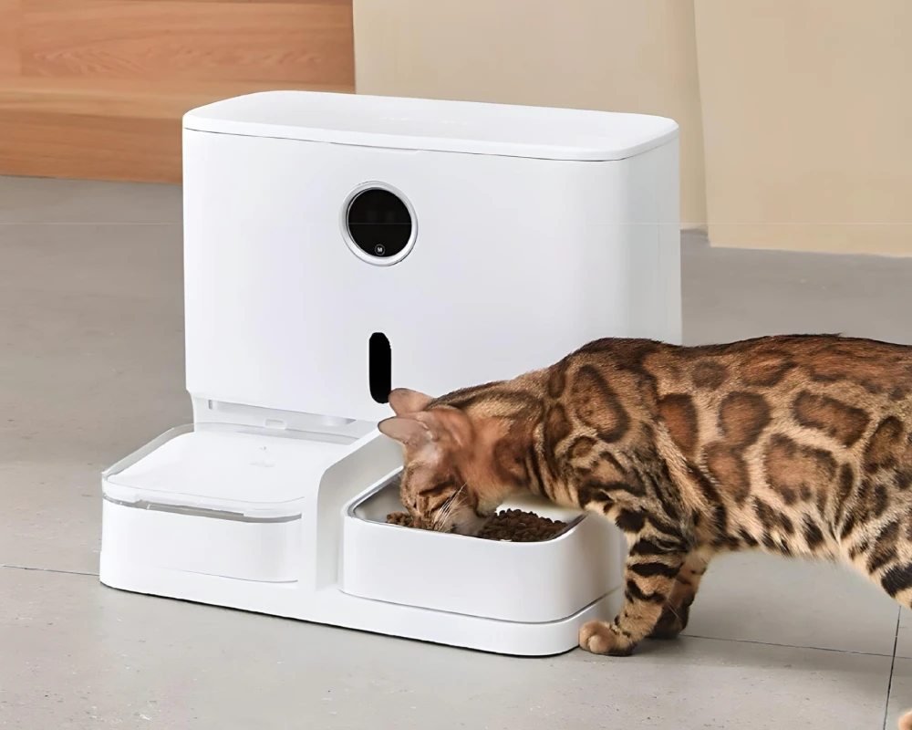 dog food feeder automatic