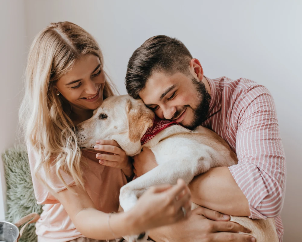 pet automatic water feeder