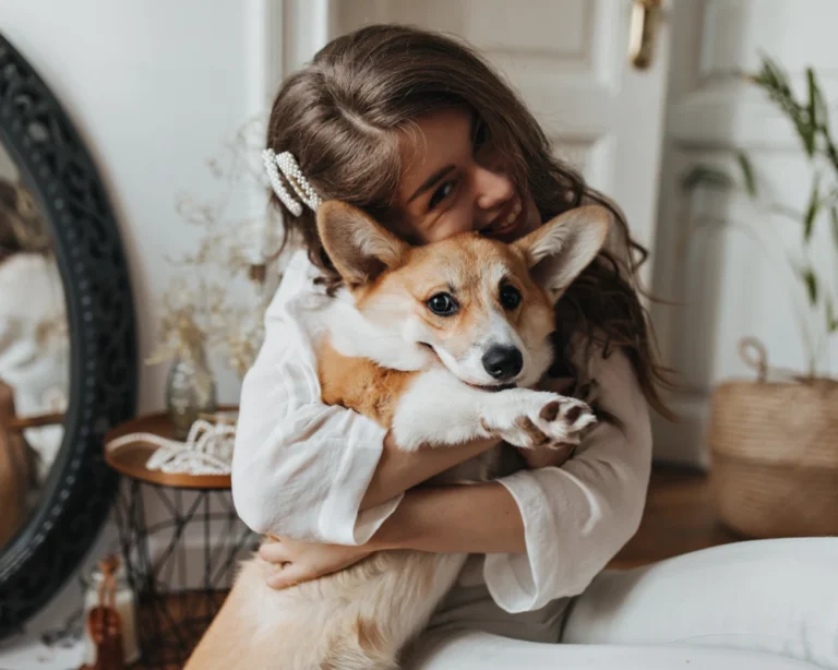 pet food automatic dispenser